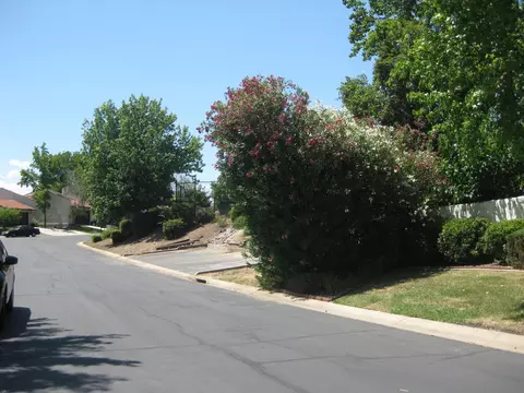 755 Flower Ash Ln, Redding, CA 96003 photo 23