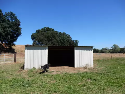 12740 Wilder Rd, Red Bluff, CA 96080 photo 14