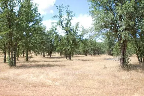20812 Boyle, Redding, CA 96003 photo 9