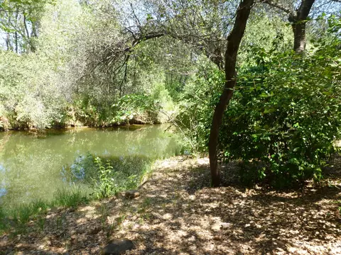 1505 Arroyo Manor Dr, Redding, CA 96003 photo 49