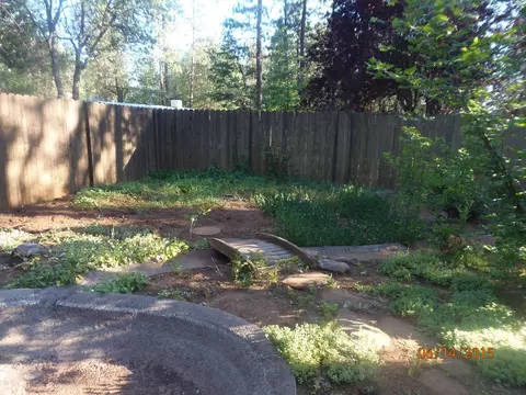 38211 Robin Way, Burney, CA 96013 photo 21