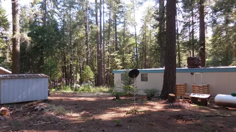 7651 Pineview Rd, Shingletown, CA 96088 photo 5