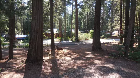 7651 Pineview Rd, Shingletown, CA 96088 photo 20