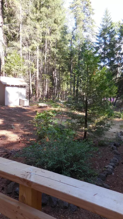 7651 Pineview Rd, Shingletown, CA 96088 photo 6