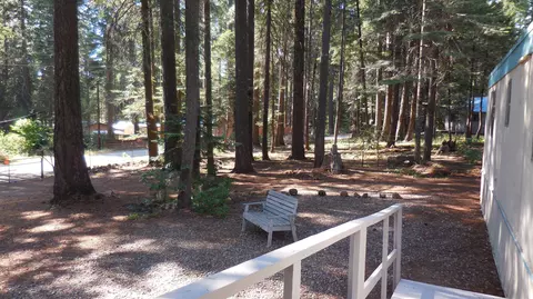 7651 Pineview Rd, Shingletown, CA 96088 photo 19
