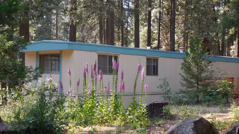 7651 Pineview Rd, Shingletown, CA 96088 photo 22