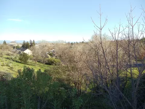 3169 Colombard Walk, Redding, CA 96001 photo 19