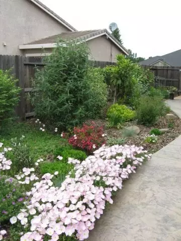 779 Woodacre Dr, Redding, CA 96003 photo 9