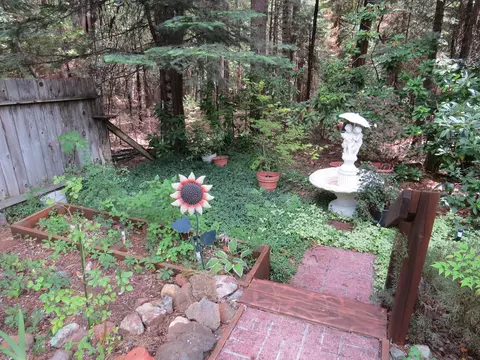 30805 Tinkerbell Ln, Shingletown, CA 96088 photo 11