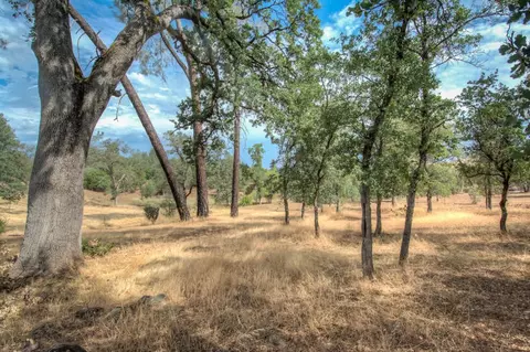 22690 Elk Trail East Trl, Redding, CA 96003 photo 29