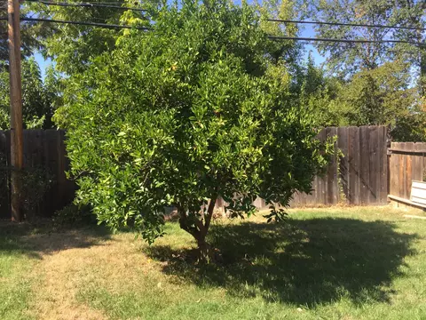 2074 Wilder Dr, Redding, CA 96001 photo 22