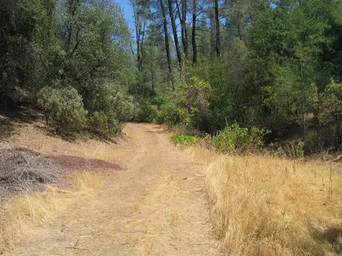 10709 2nd St, Shasta, CA 96087 photo 55