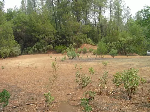 10709 2nd St, Shasta, CA 96087 photo 60