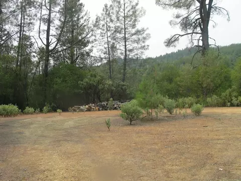 10709 2nd St, Shasta, CA 96087 photo 57