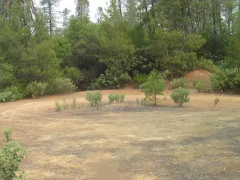 10709 2nd St, Shasta, CA 96087 photo 59