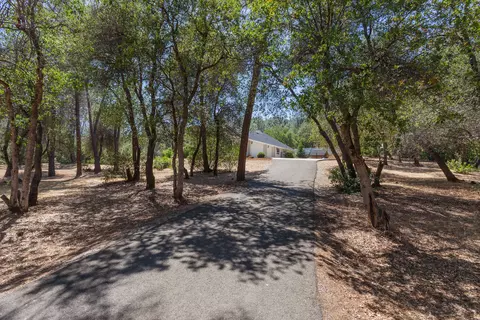 10320 White Star Dr, Redding, CA 96001 photo 5