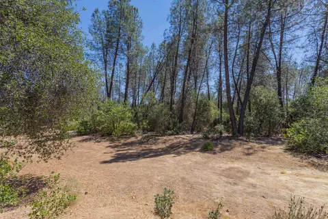 10320 White Star Dr, Redding, CA 96001 photo 46