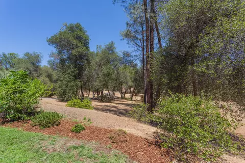 10320 White Star Dr, Redding, CA 96001 photo 47