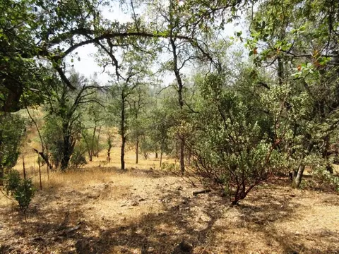 21699 Elk Trl, Redding, CA 96003 photo 35