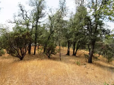 21699 Elk Trl, Redding, CA 96003 photo 37