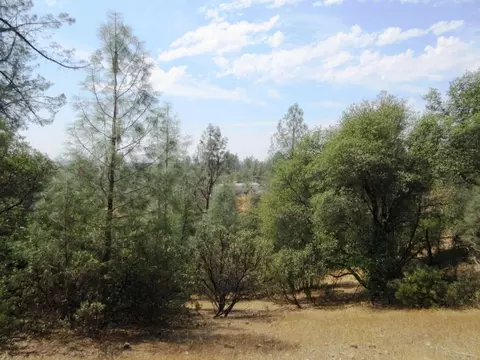 21699 Elk Trl, Redding, CA 96003 photo 36