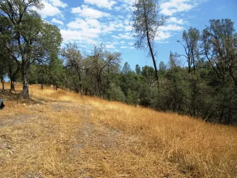 21699 Elk Trl, Redding, CA 96003 photo 32