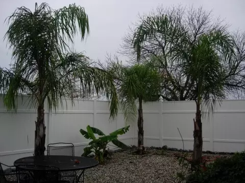 842 Redwood Blvd, Redding, CA 96003 photo 3