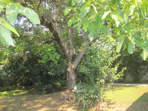 2164 Paris Ave, Redding, CA 96001 photo 22