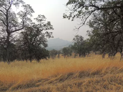 8959 Straight Arrow Rd, Igo, CA 96047 photo 3
