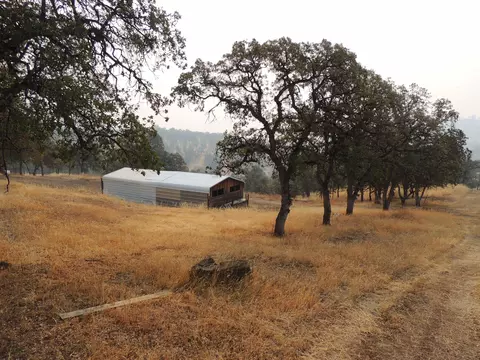 8959 Straight Arrow Rd, Igo, CA 96047 photo 1