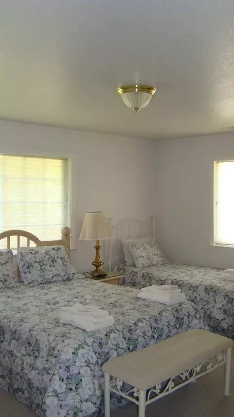 36547 Viola Meadows Ct, Shingletown, CA 96088 photo 28