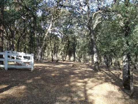 19903 Hwy 36 W, Red Bluff, CA 96080 photo 19