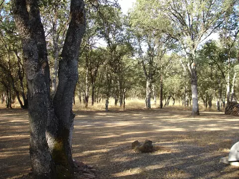 19903 Hwy 36 W, Red Bluff, CA 96080 photo 15