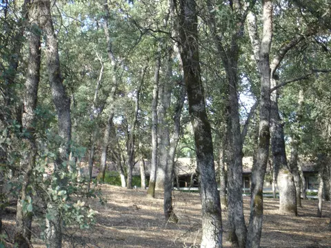 19903 Hwy 36 W, Red Bluff, CA 96080 photo 2