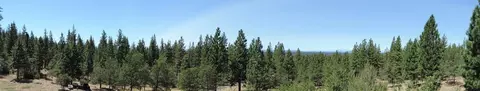 30715 Scrub Oak Way, Mcarthur, CA 96056 photo 4