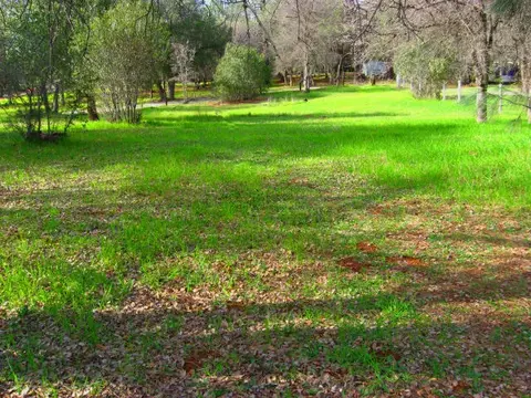 13636 Bear Mountain Rd, Redding, CA 96003 photo 33