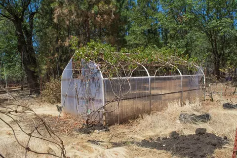 30432 Whitmore Rd, Whitmore, CA 96096 photo 23