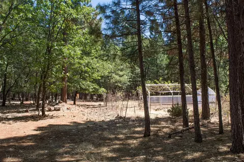 30432 Whitmore Rd, Whitmore, CA 96096 photo 24