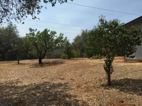 16573 Power Line Rd, Redding, CA 96001 photo 13