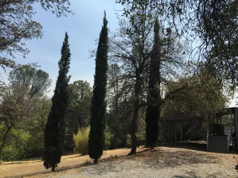 16573 Power Line Rd, Redding, CA 96001 photo 18