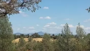 4200 Frances Dr, Redding, CA 96001 photo 4