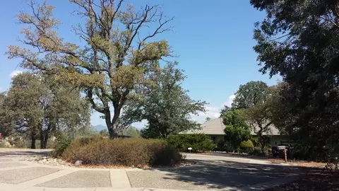 4200 Frances Dr, Redding, CA 96001 photo 14