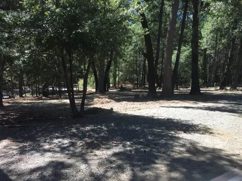 15649 Phillips Rd, Oak Run, CA 96069 photo 24