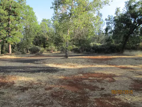 28298 State Highway 44, Shingletown, CA 96088 photo 1
