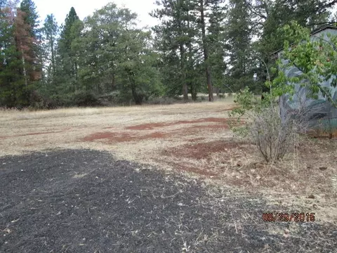 28298 State Highway 44, Shingletown, CA 96088 photo 7