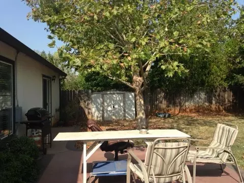 4369 Bowyer, Redding, CA 96002 photo 6