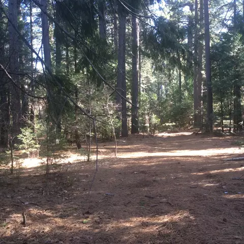 7675 Pegnan Rd, Shingletown, CA 96088 photo 5
