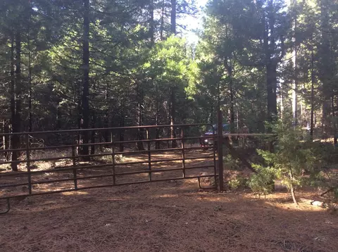 7675 Pegnan Rd, Shingletown, CA 96088 photo 2