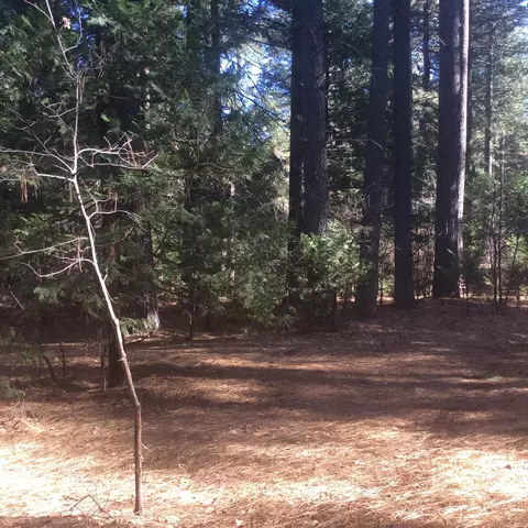 7675 Pegnan Rd, Shingletown, CA 96088 photo 8