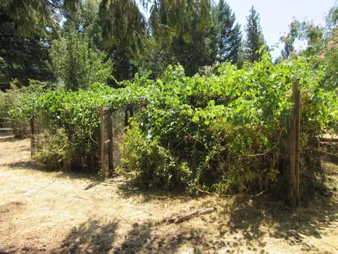 7362 Orion Dr, Shingletown, CA 96088 photo 12